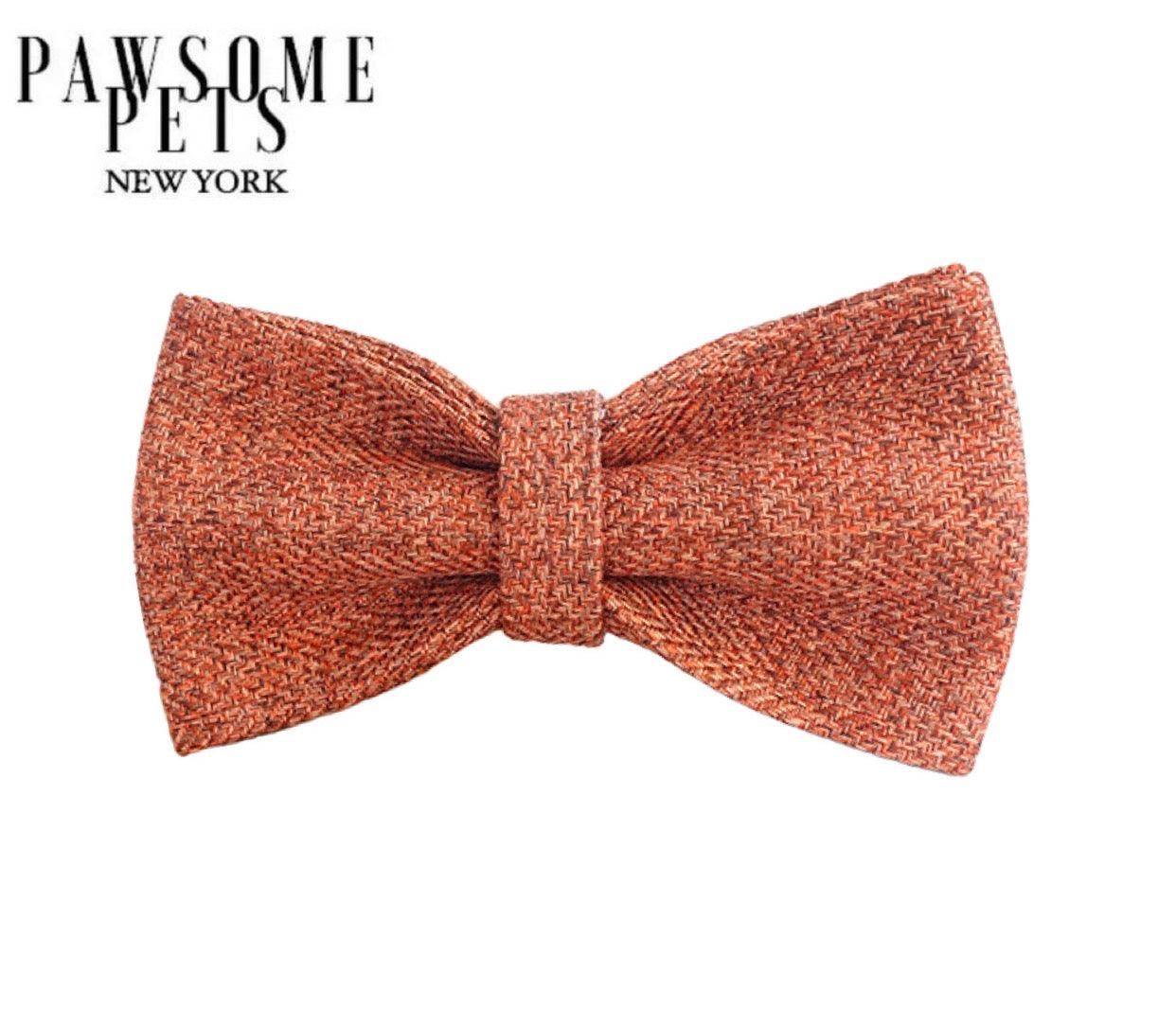 BOWTIE - ORANGE