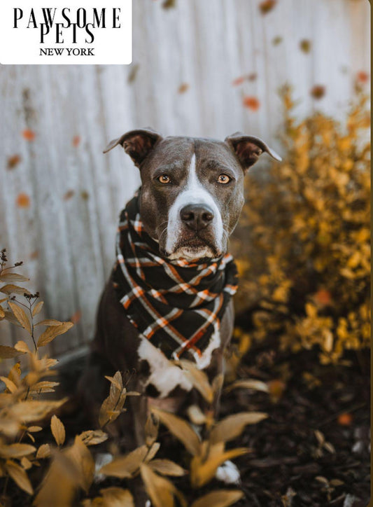 BANDANA - JUNIPER
